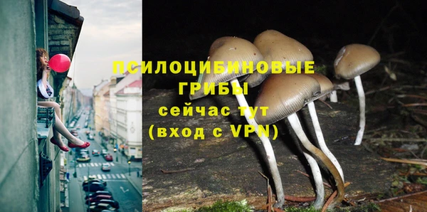 дурь Лабытнанги